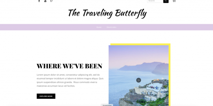 The Traveling Butterfly